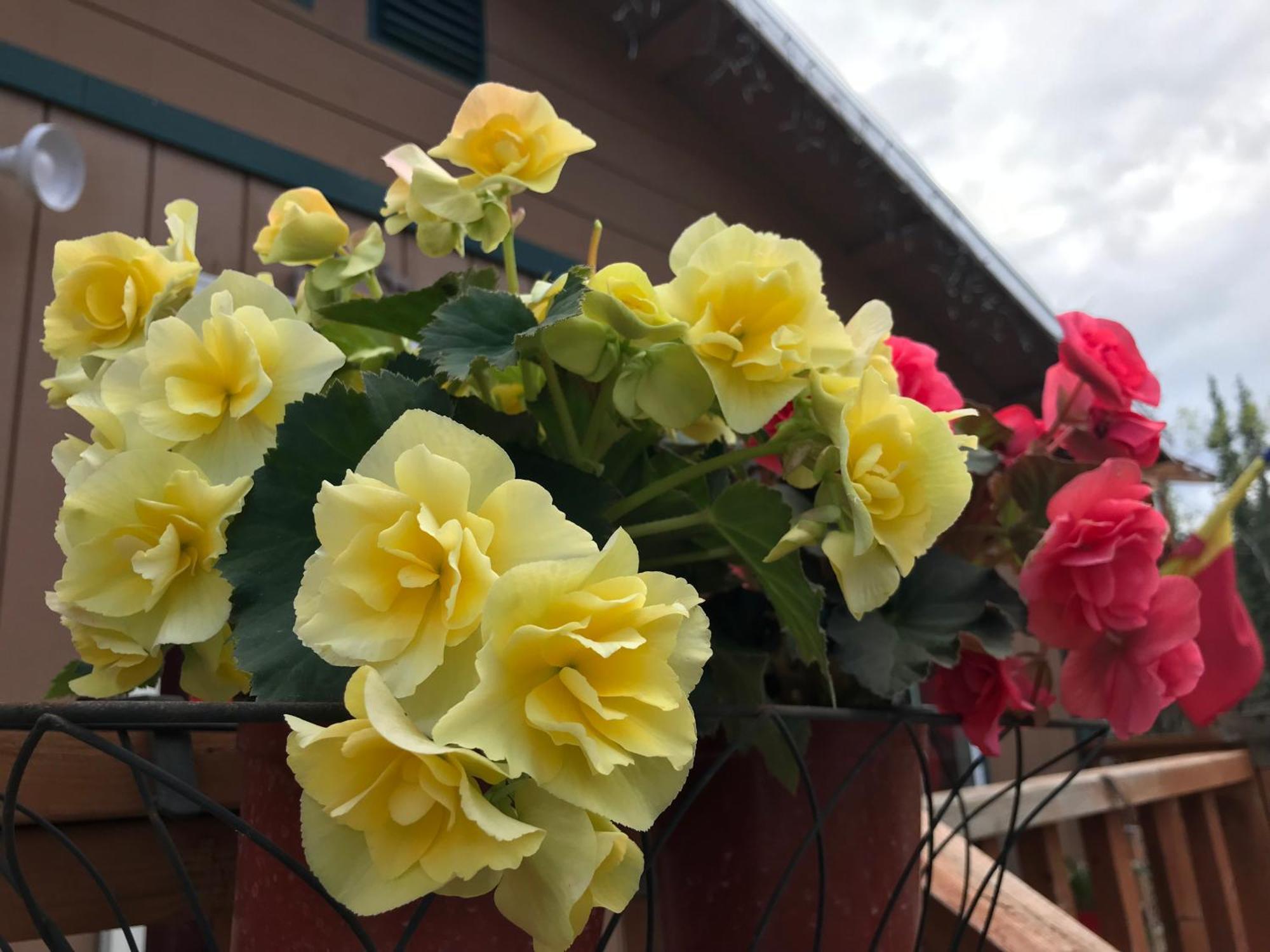 A Hyde Away Inn B&B 托克 外观 照片
